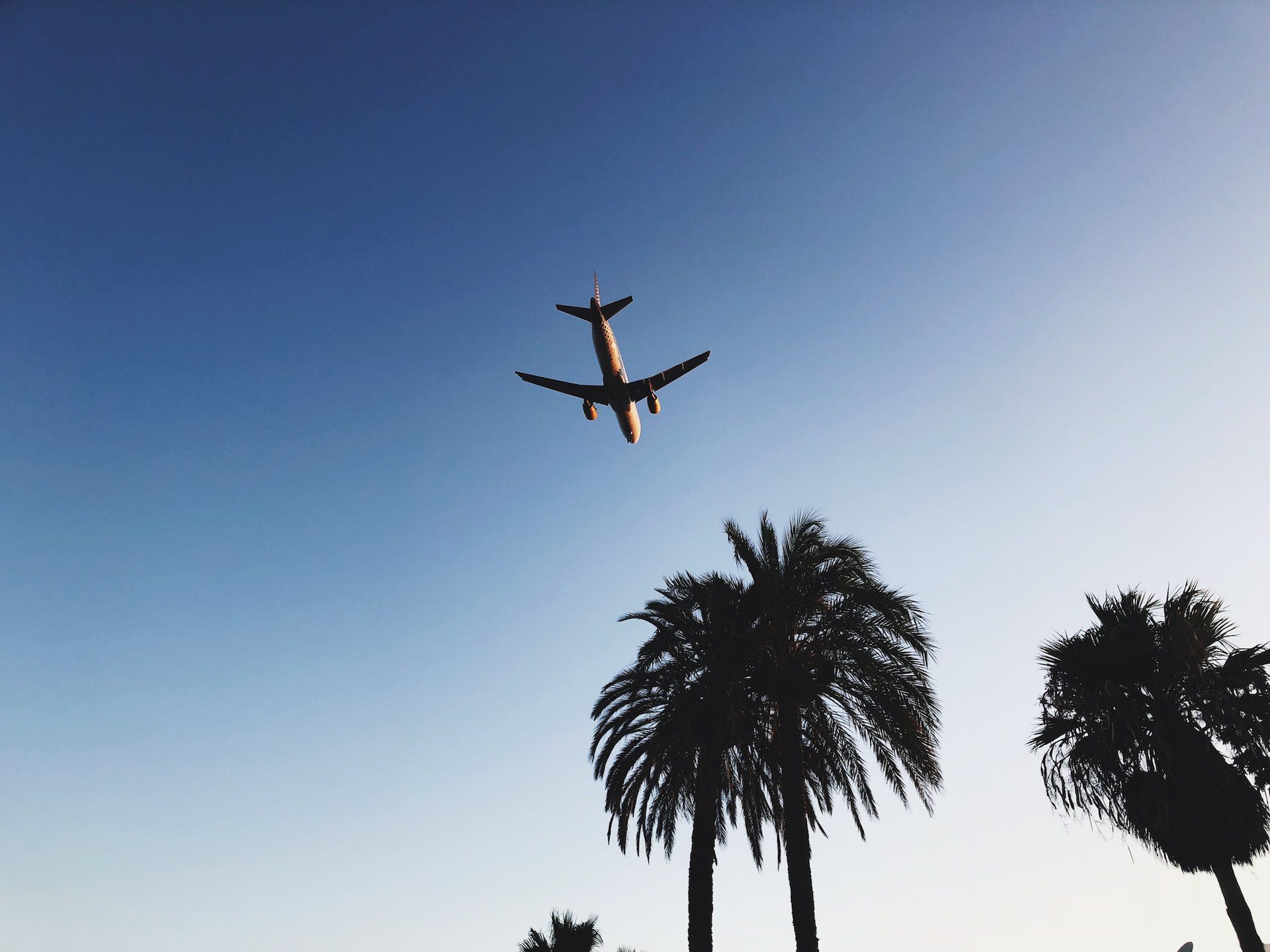 Gebote und Verbote für Ibiza Ibiza
