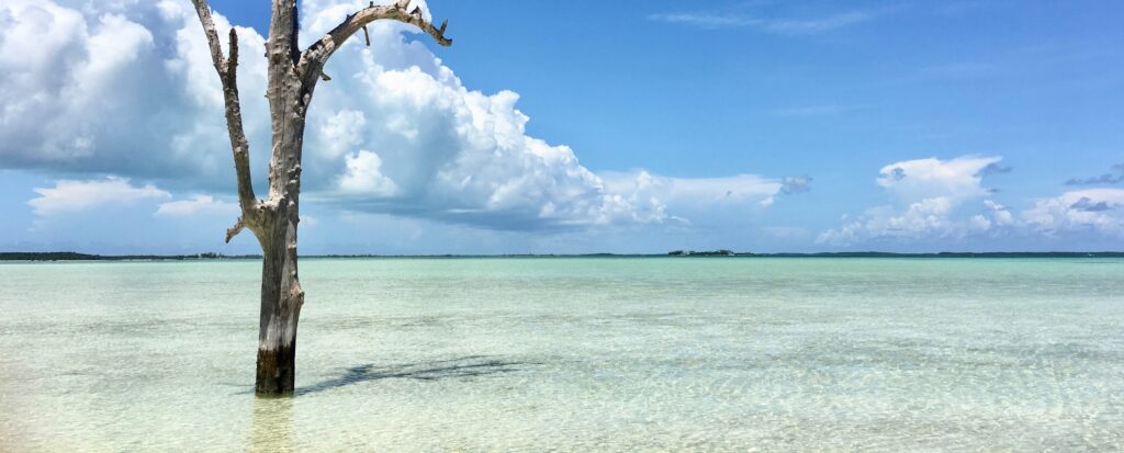 Harbour Island,