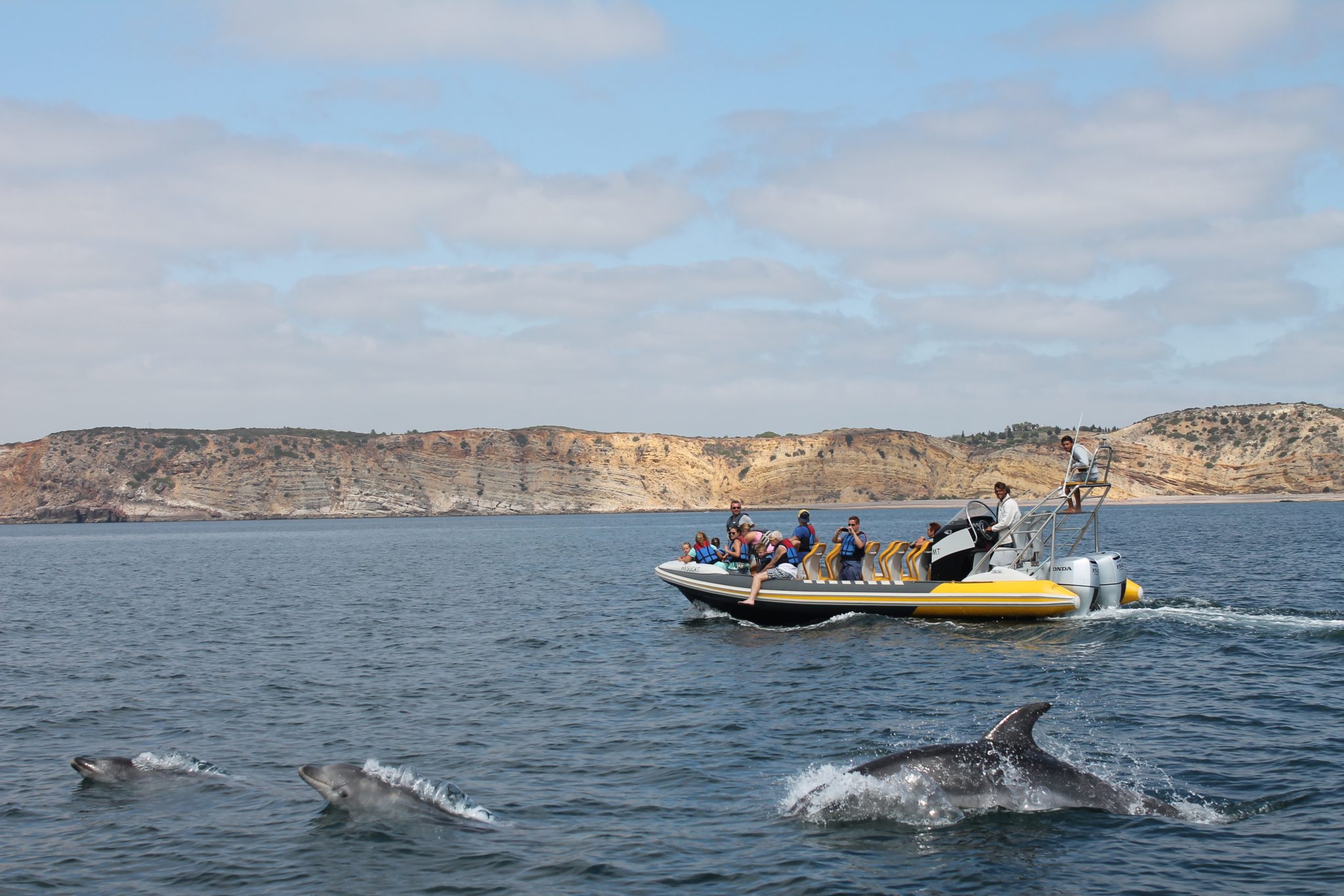 Avistamiento de delfines desde la Praia da Luz Avistamiento de delfines en Luz