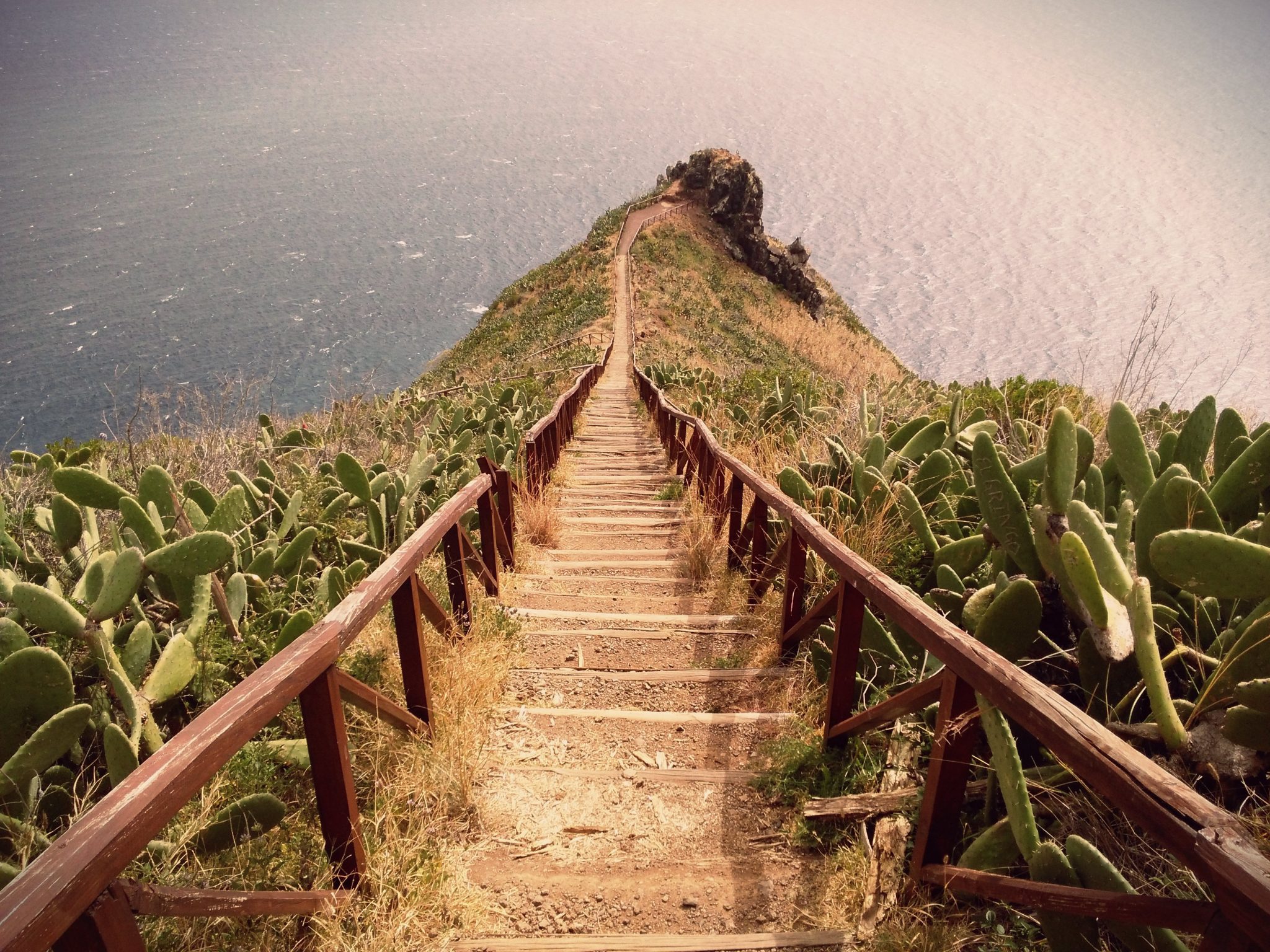 Madeira PT Madeira