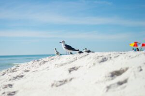Santa Rosa Beach, Verenigde Staten