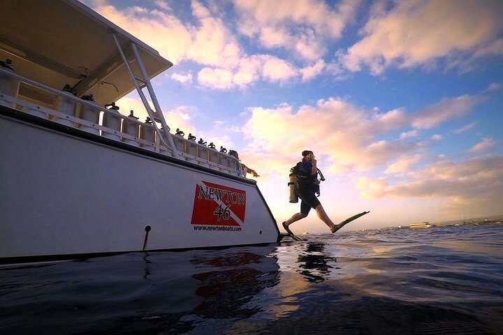 Night Dive in Honolulu