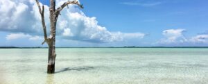 Harbour Island,